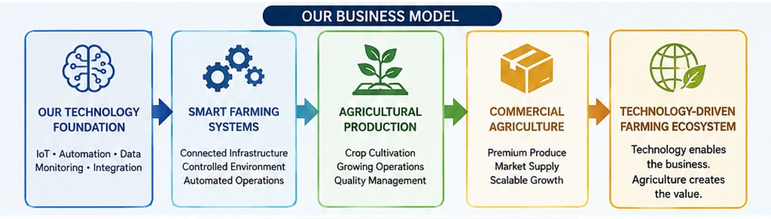 Company business model